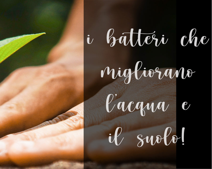 I batteri buoni