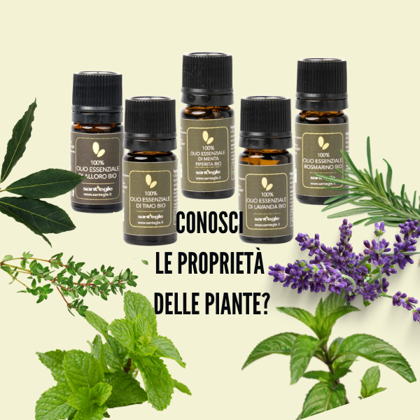 Conosci le proprietà delle piante?