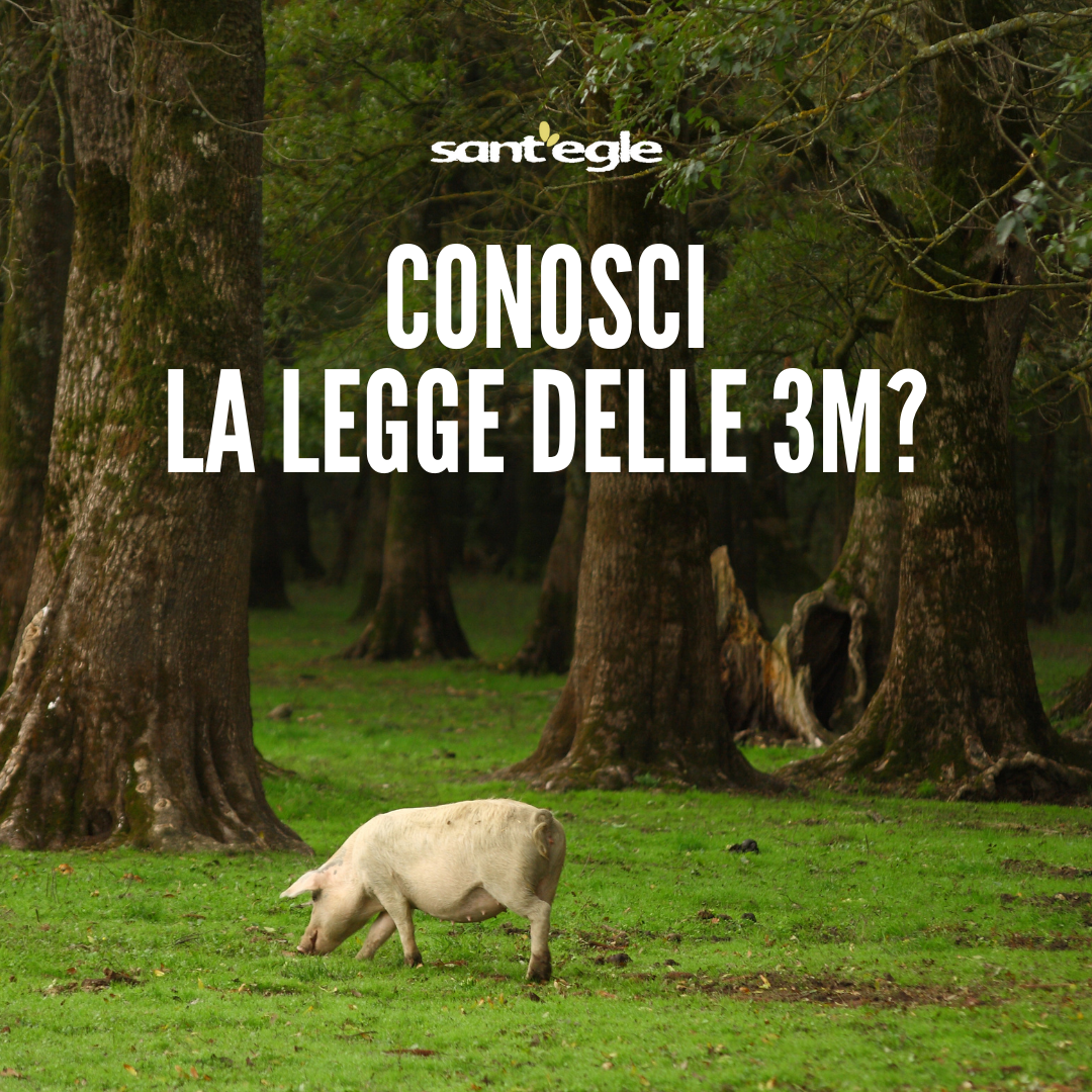 CONOSCI LA LEGGE DELLE 3M?