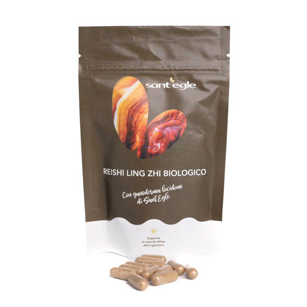 Reishi - Ganoderma Lucidum - Ling Zhi biologique, 90 cápsulas