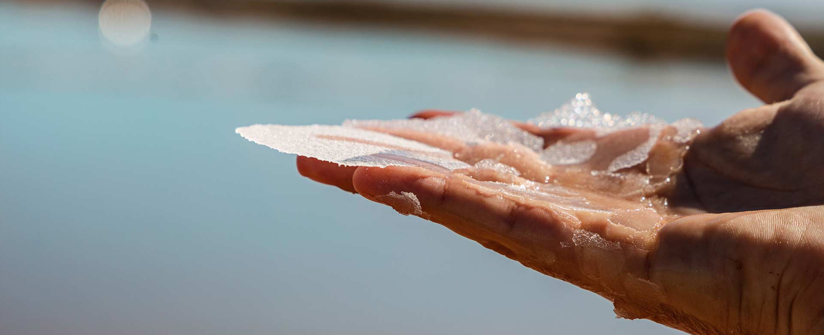 Bio Fleur de Sel