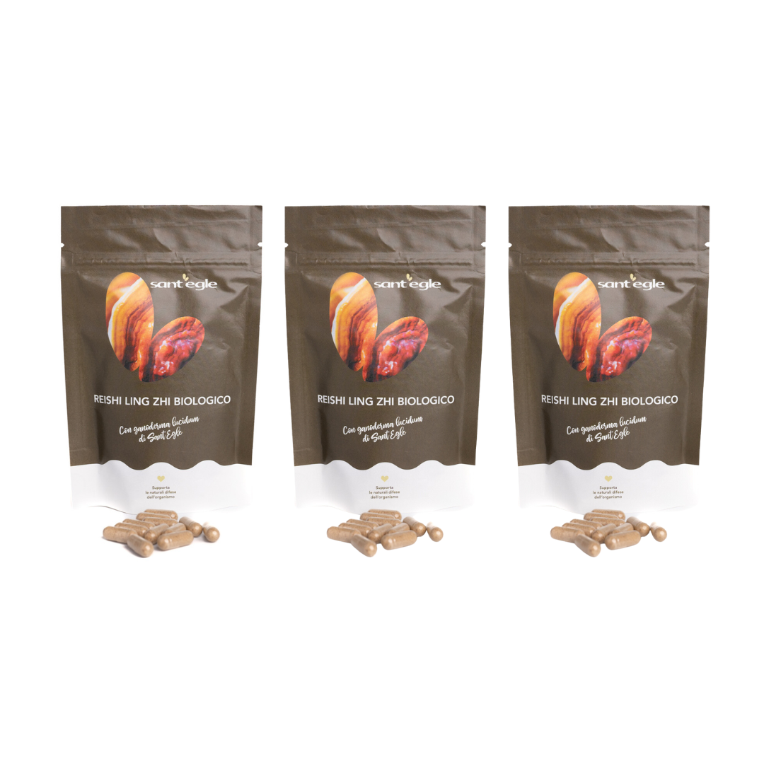 Reishi - Ganoderma Lucidum - Ling Zhi biologique, 90 cápsulas