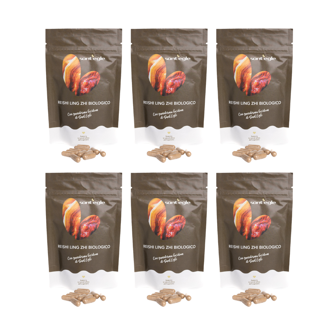Reishi - Ganoderma Lucidum - Ling Zhi biologique, 90 cápsulas