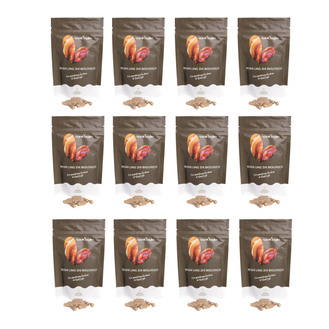 Reishi - Ganoderma Lucidum - Ling Zhi biologique, 90 cápsulas