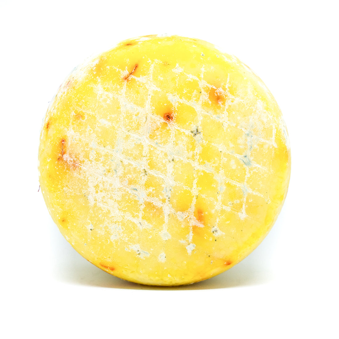 Organic Pecorino Cheese with Saffron