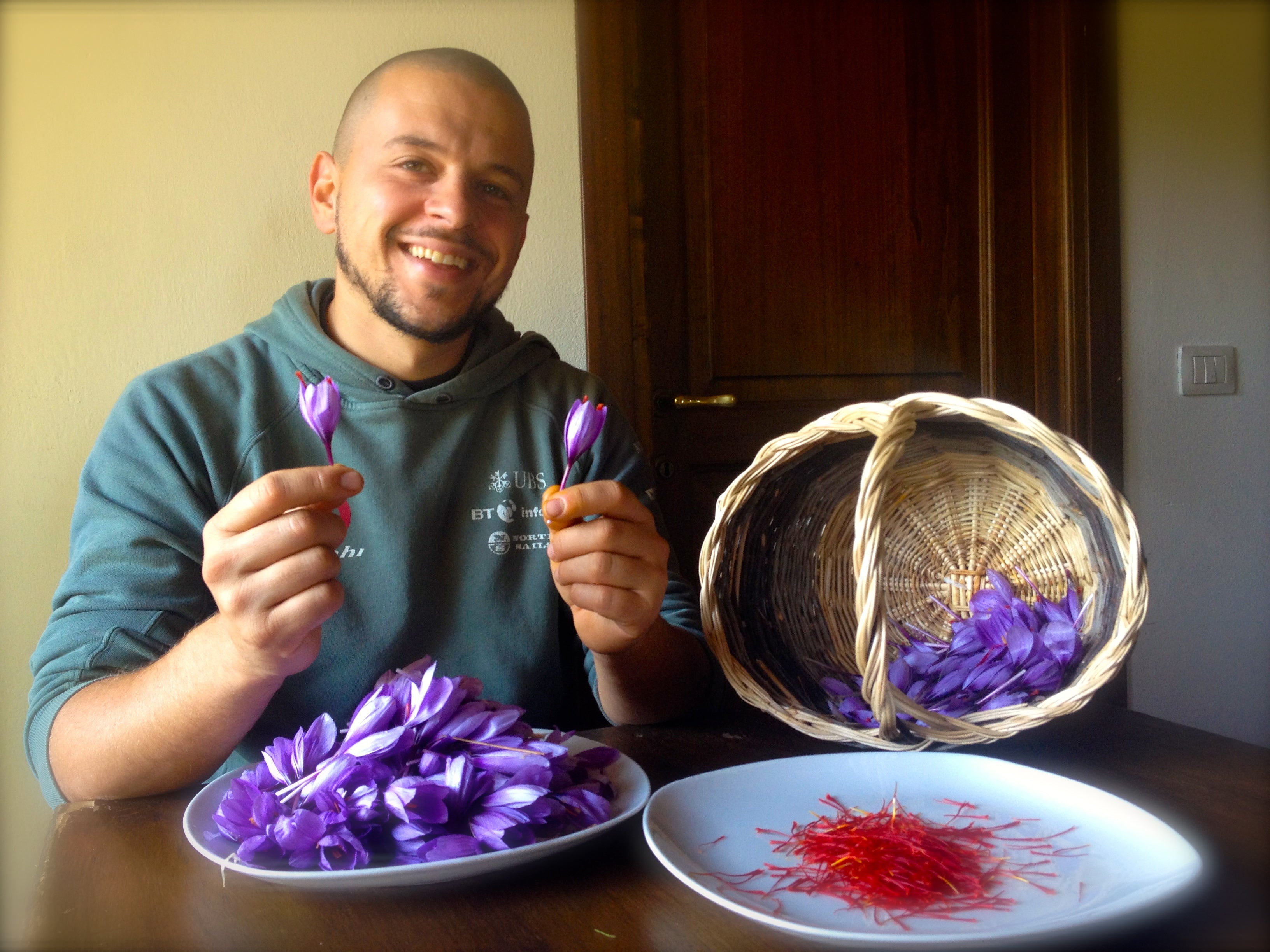 Bulbi di zafferano italiano biologici, calibro 11, prenotazioni campagna 2026