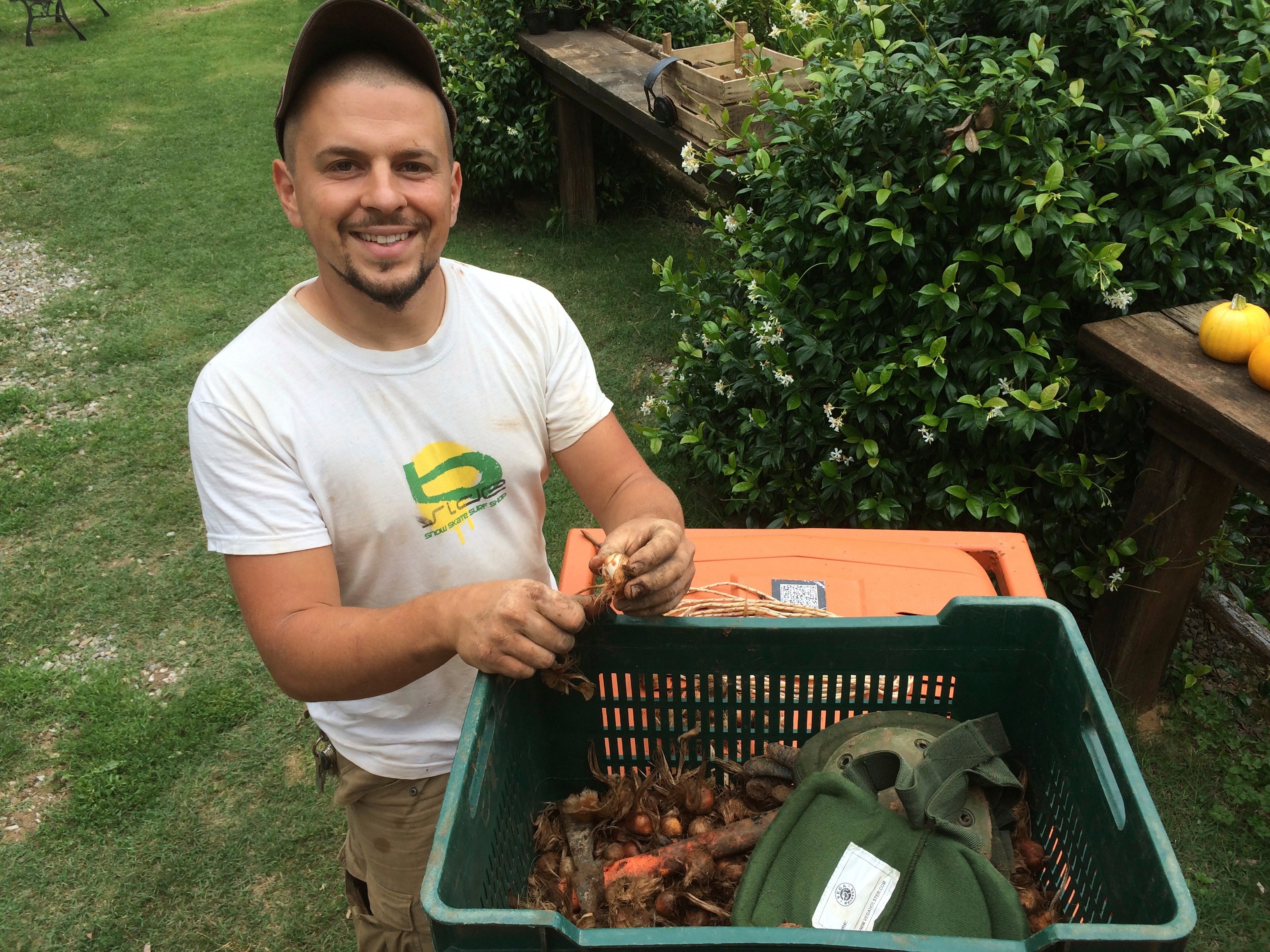 Bulbi di zafferano italiano biologici, calibro 11, prenotazioni campagna 2026