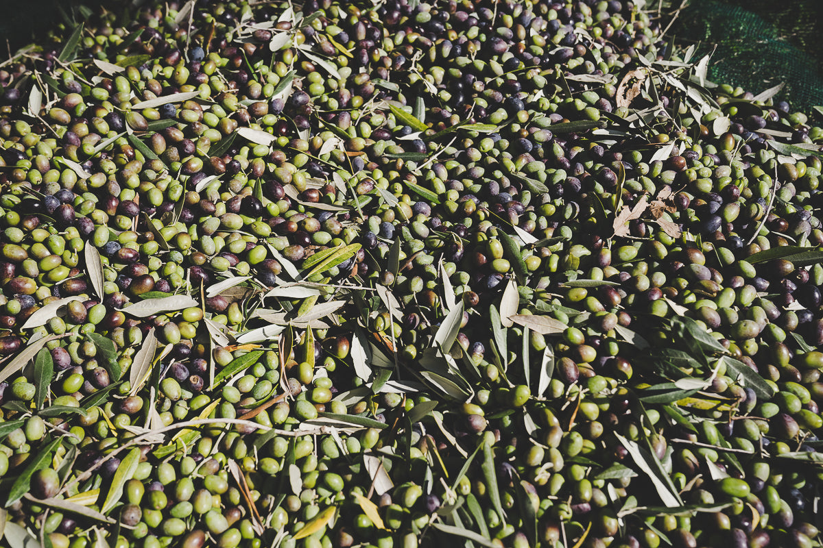 Aceite de Oliva Virgen Extra Ecológico