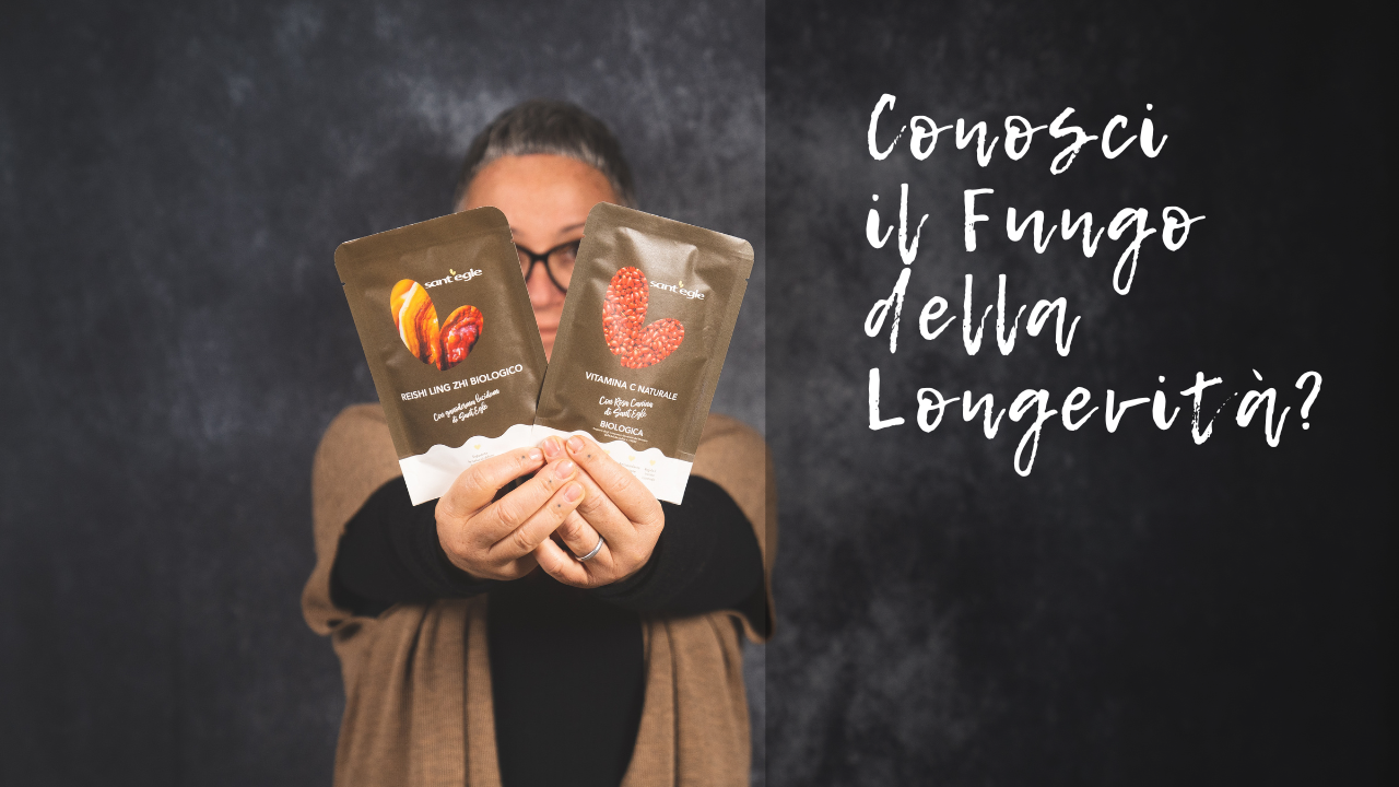 Ganoderma lucidum bio (Reishi): cos’è, a cosa serve e quali benefici può offrire il fungo dell’immortalità