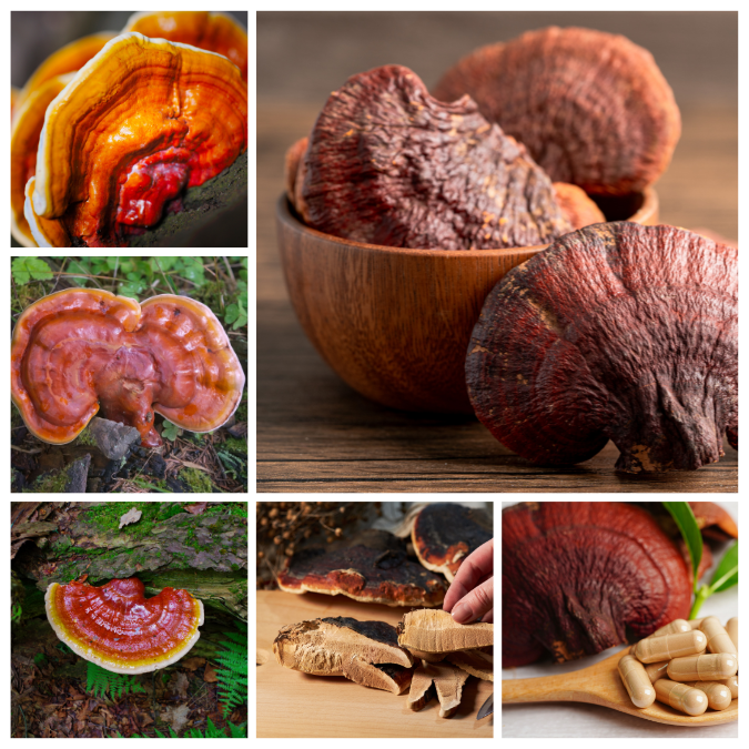 Allergia, come si manifesta e cosa prendere