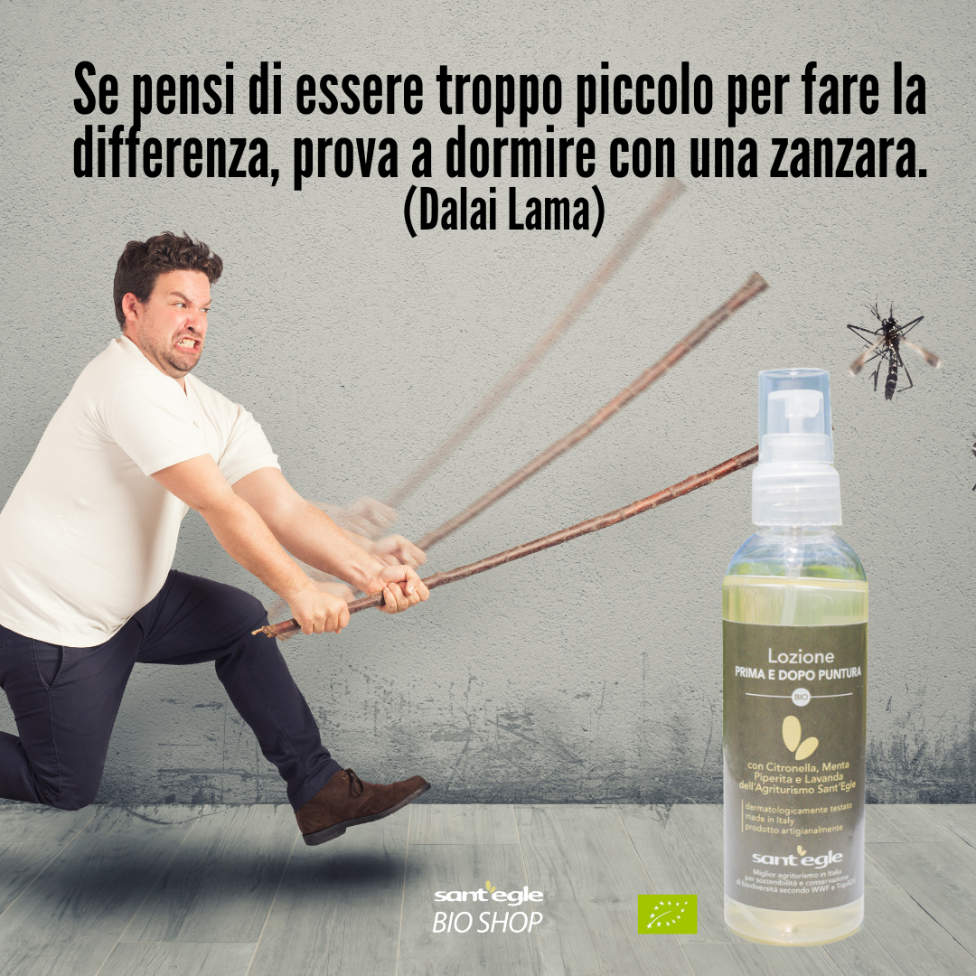 SAI COME DEBELLARE LE ZANZARE NATURALMENTE?