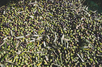 Thumbnail for Tasting of 20 ml Organic Extra Virgin Olive Oil