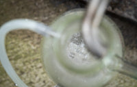 Thumbnail for Organic Laurel Hydrolat, 100 ml