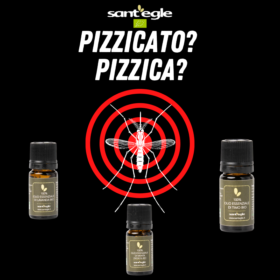 KIT ANTI ZANZARE, oli essenziali lavanda, timo e menta piperita